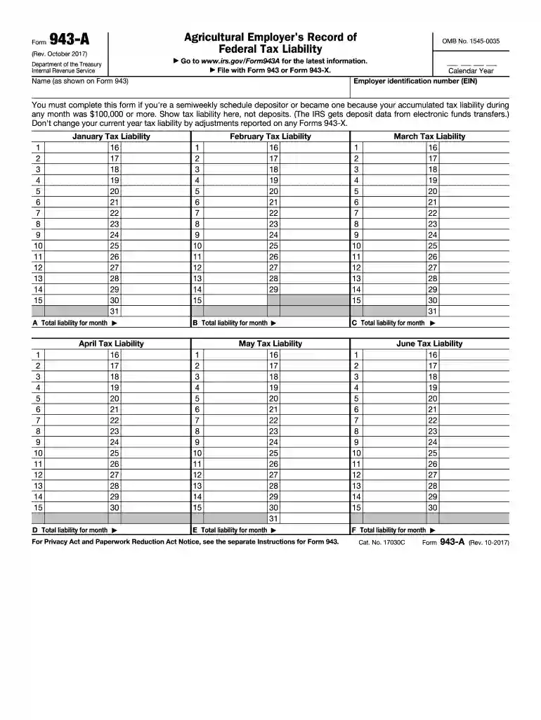 2011 943 fillable form pdf Preview on Page 1
