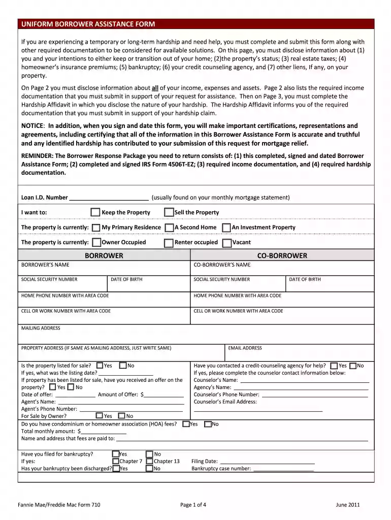 loancare mortgage assistance application pdf Preview on Page 1