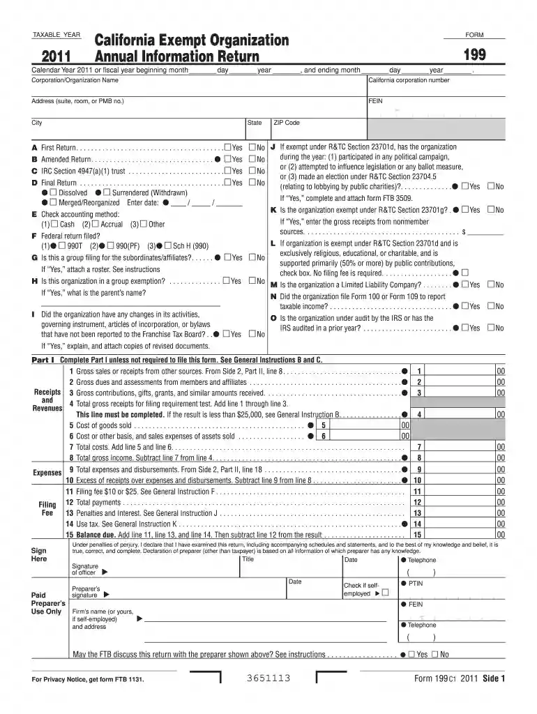 form 199 Preview on Page 1