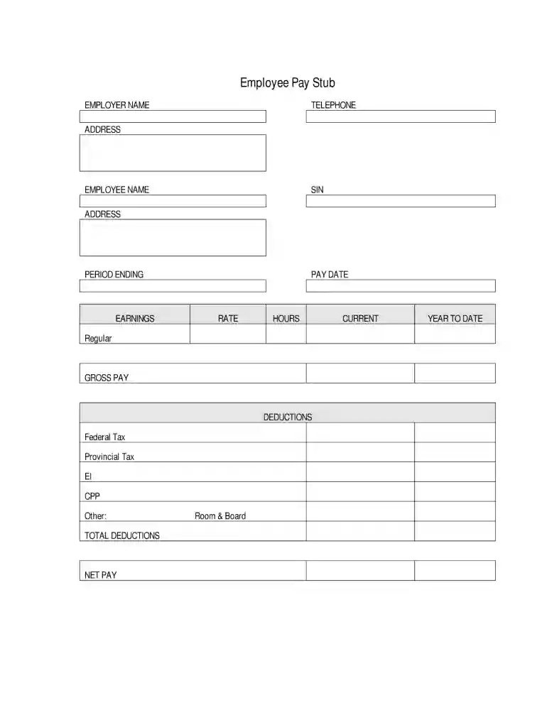 fillable pay stub free pdf Preview on Page 1