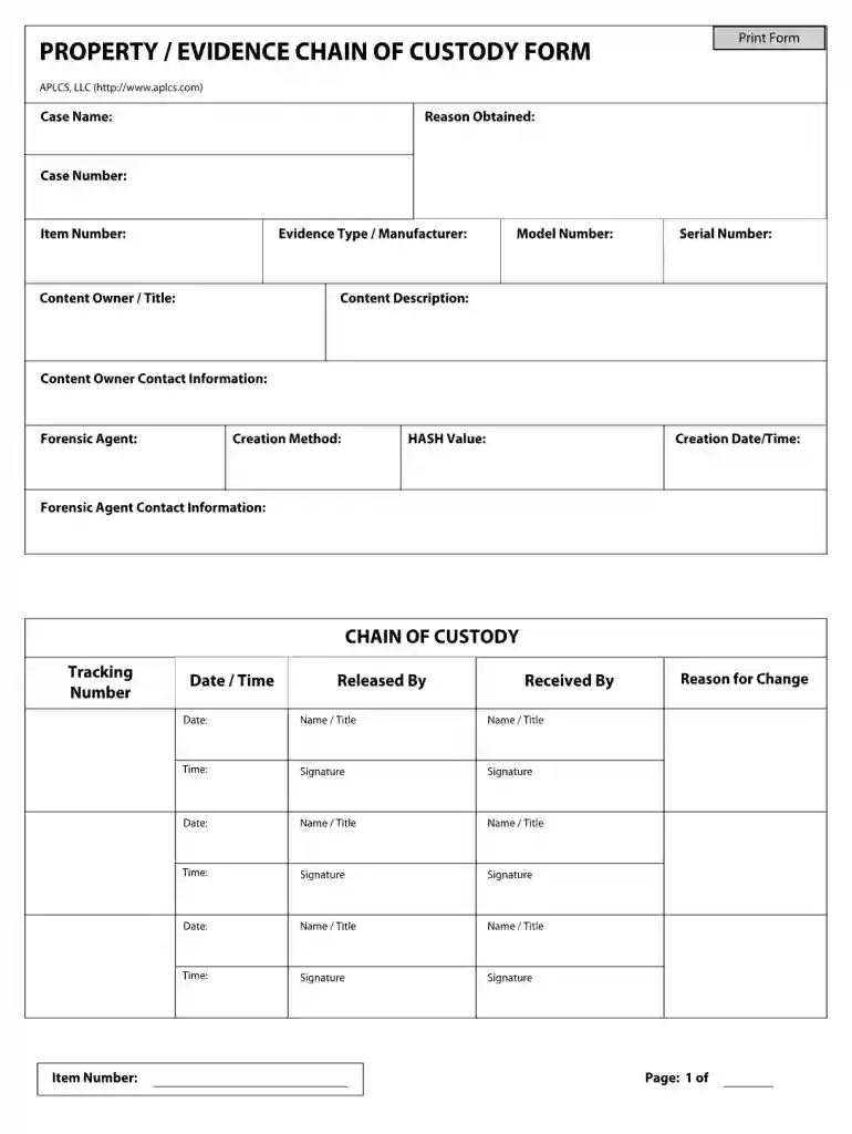 chain of custody form Preview on Page 1