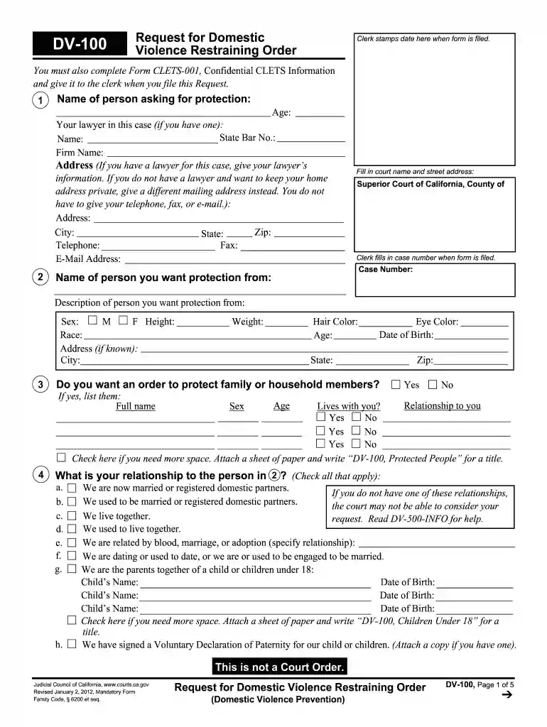 how to fill dv form Preview on Page 1