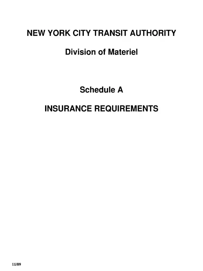 new york materiel schedule Preview on Page 1