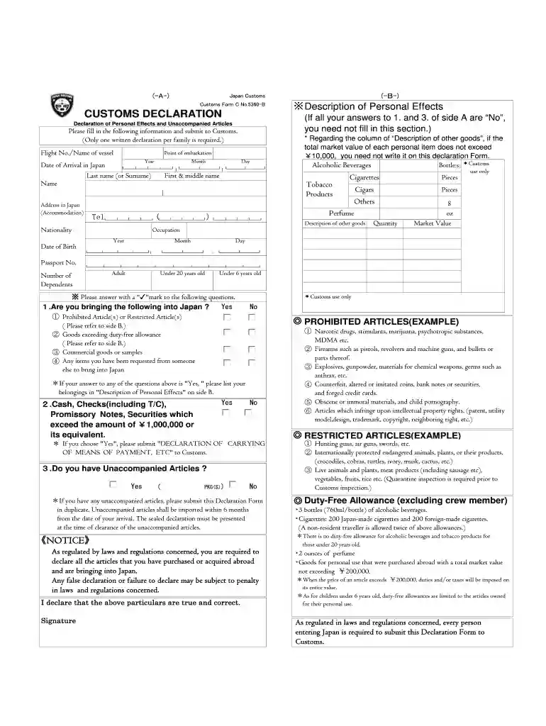 2015 customs form declaration unaccompanied printable Preview on Page 1