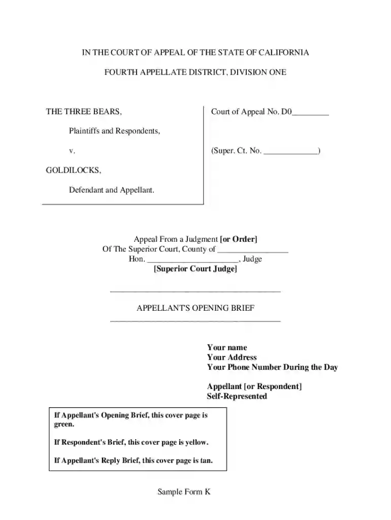 appellate brief example Preview on Page 1