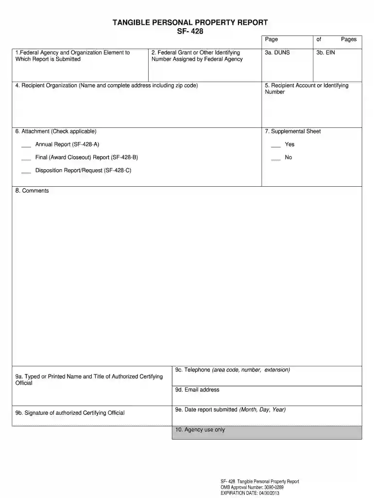 personal property report Preview on Page 1