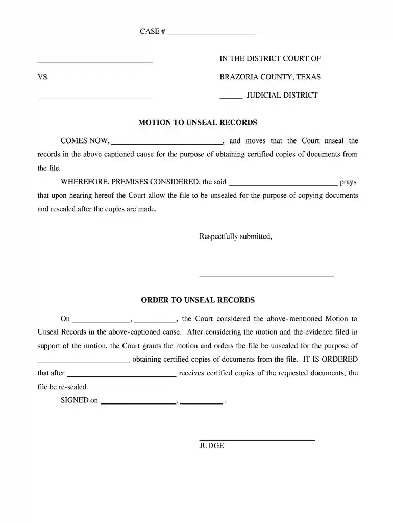 petition to unseal records texas Preview on Page 1