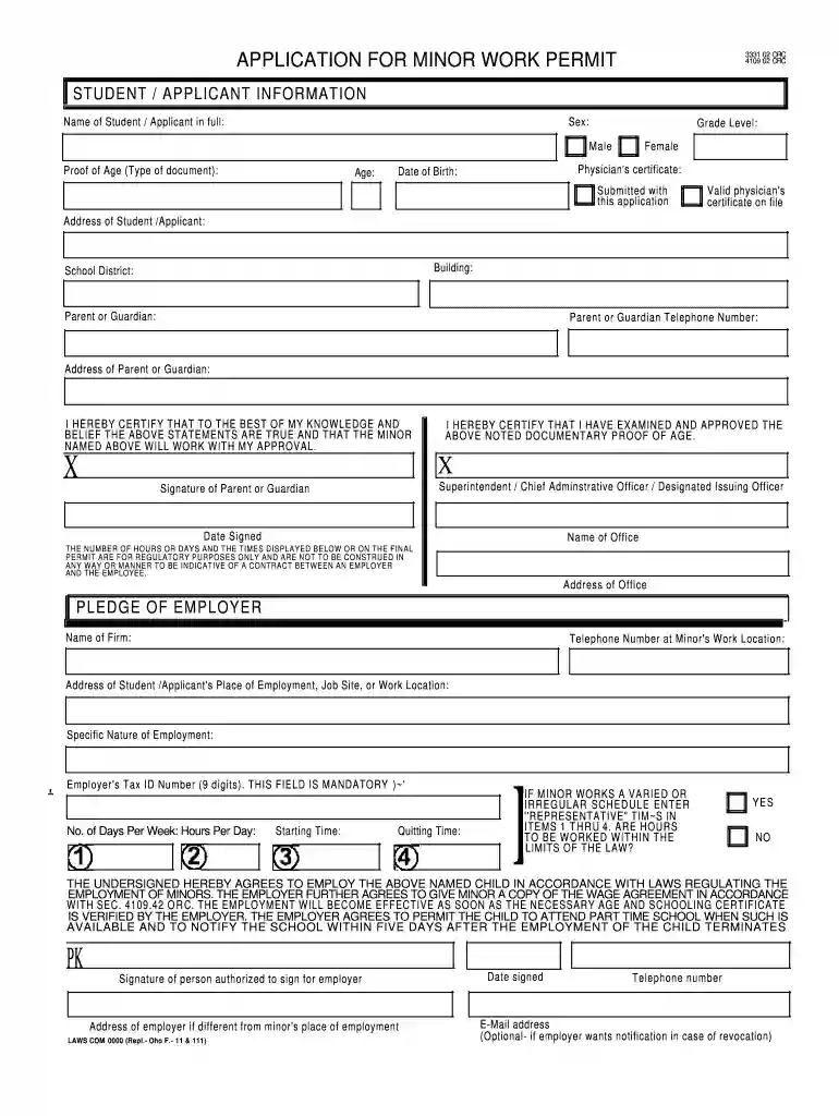 minor work permit washington Preview on Page 1