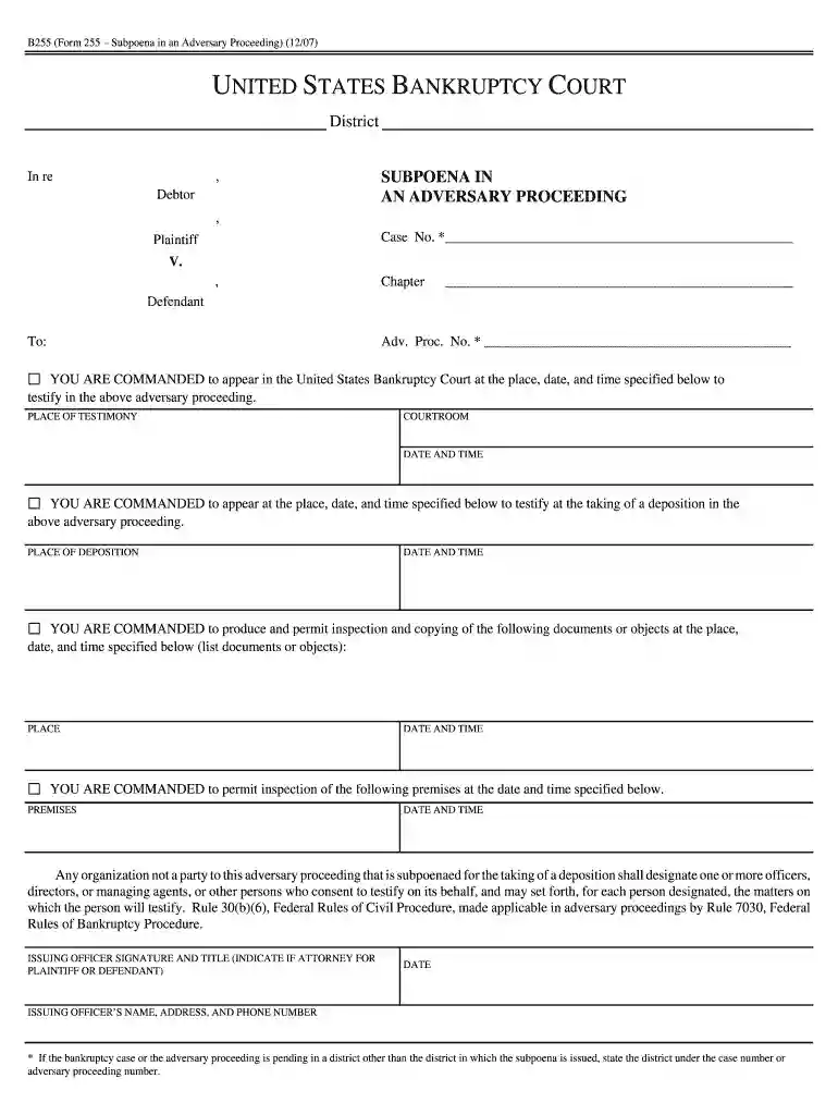 P:PSKBAPCPA FormsDir FormsForm 255 12 07 wpd - uscourts Preview on Page 1