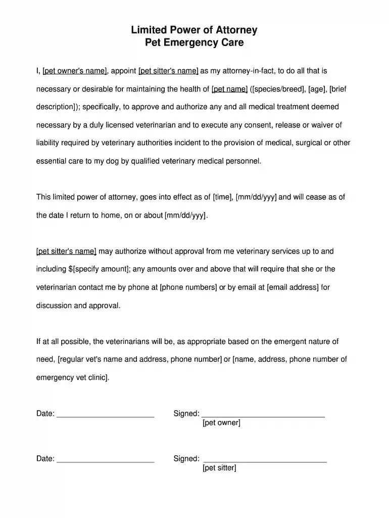 attorney power Preview on Page 1