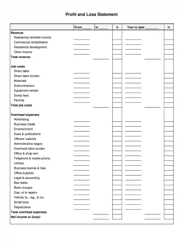p and l form Preview on Page 1