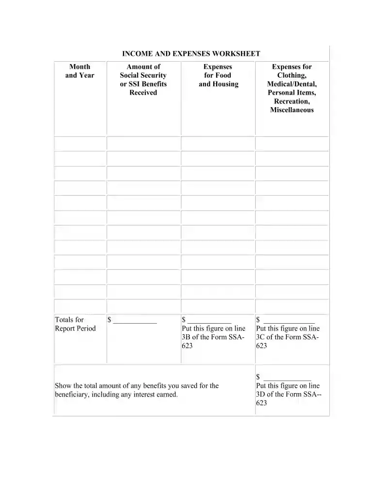 ssi income and expenses worksheet Preview on Page 1