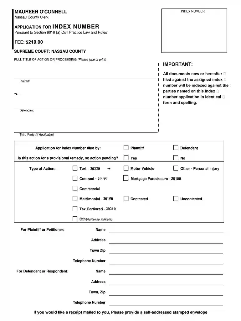 index number application form Preview on Page 1