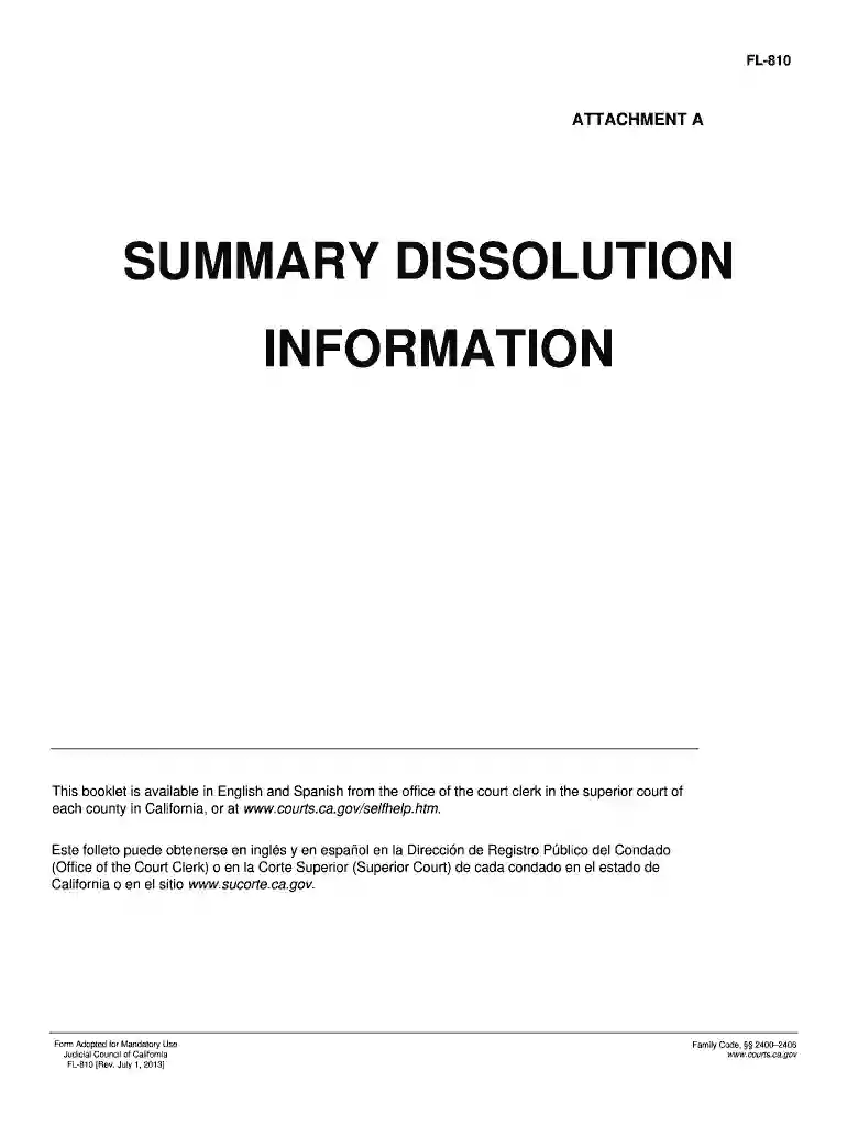 fl 810 2013 form Preview on Page 1