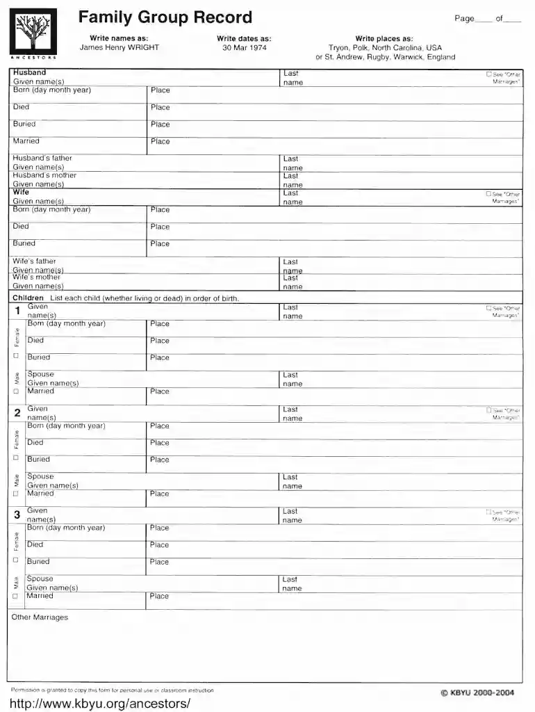 family group record form Preview on Page 1