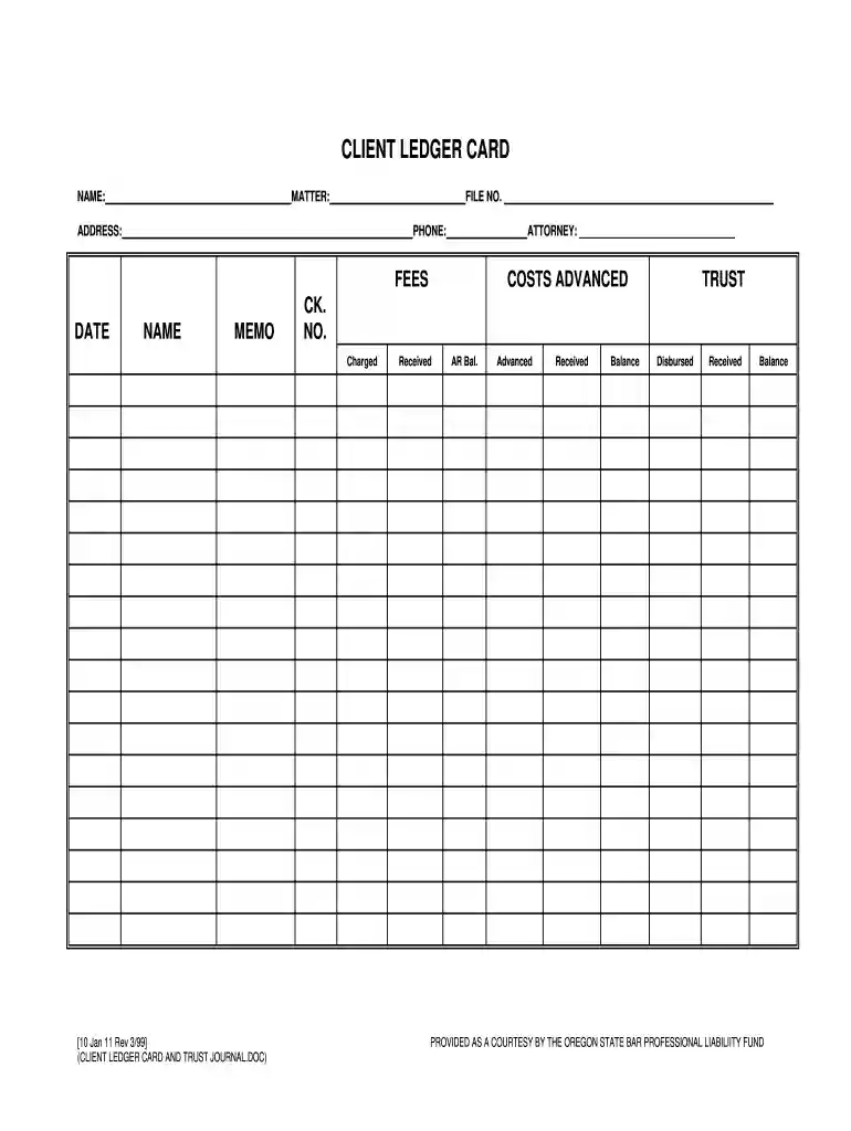 client ledger template Preview on Page 1