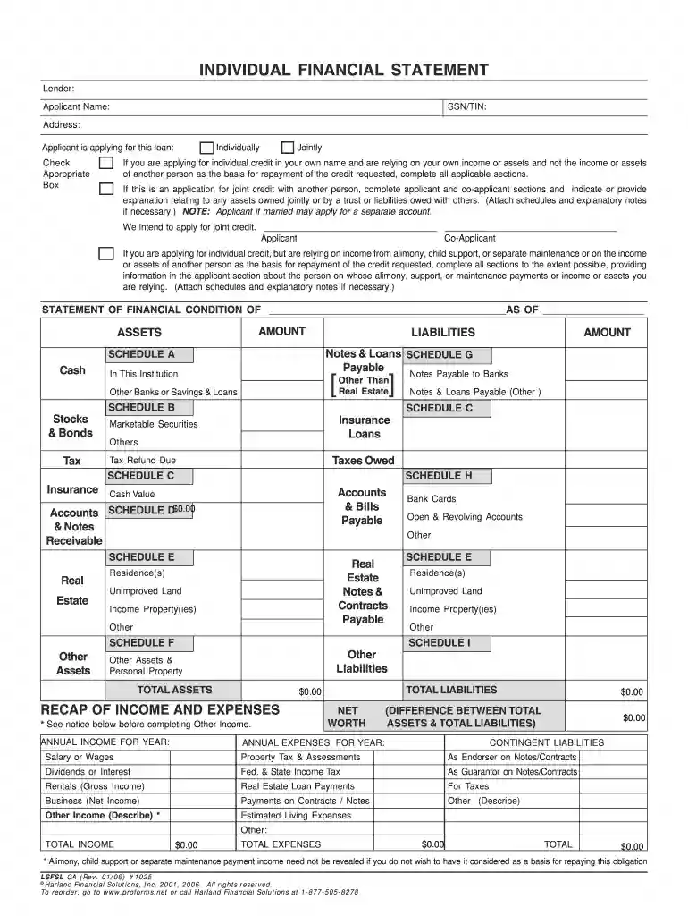 blank financial statement forms Preview on Page 1