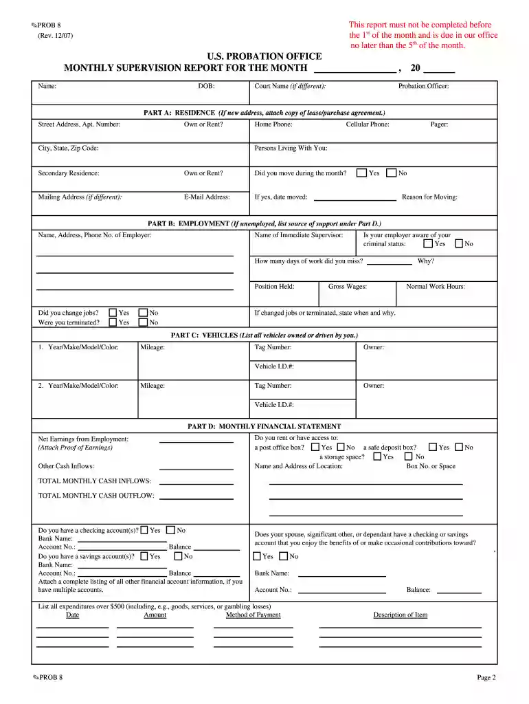 monthly report probation 2007 form Preview on Page 1