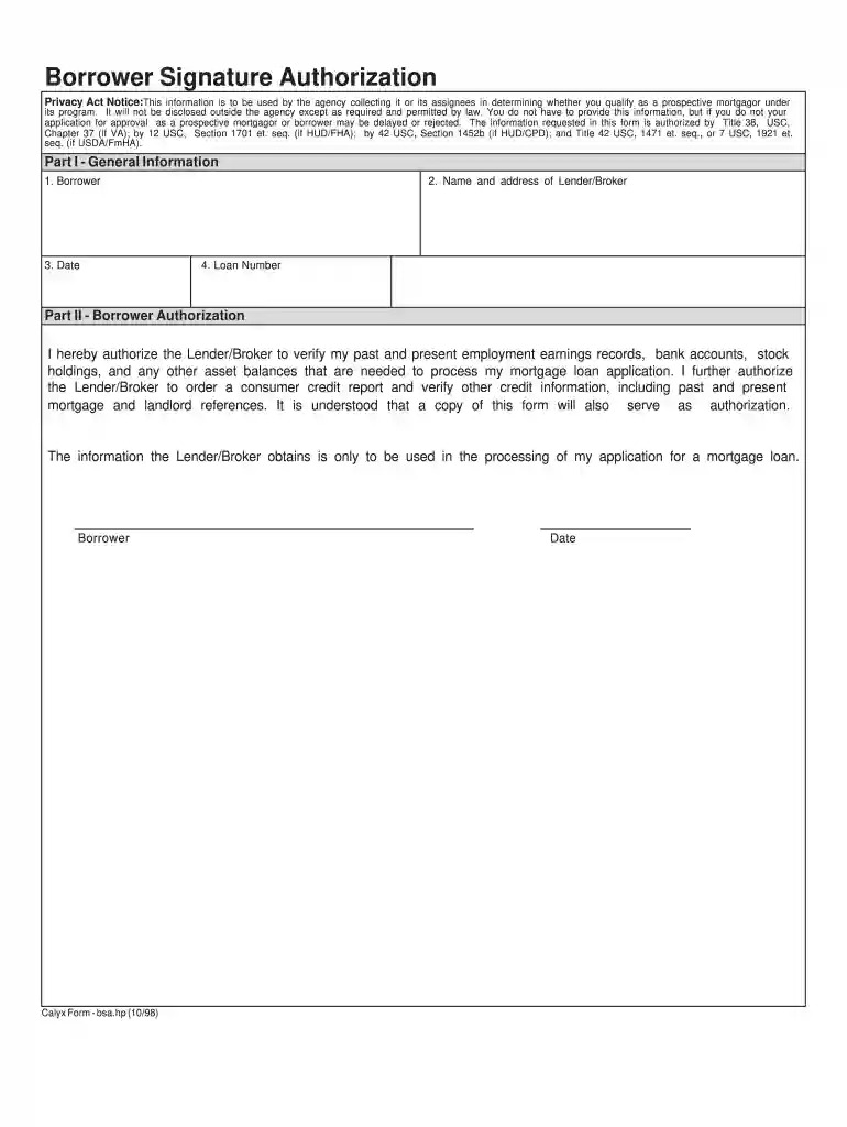 borrower authorization form Preview on Page 1