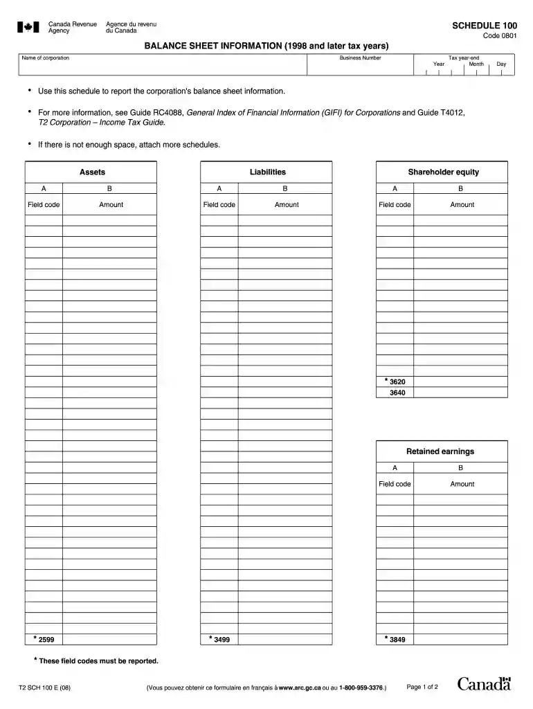 t2 balance sheet Preview on Page 1
