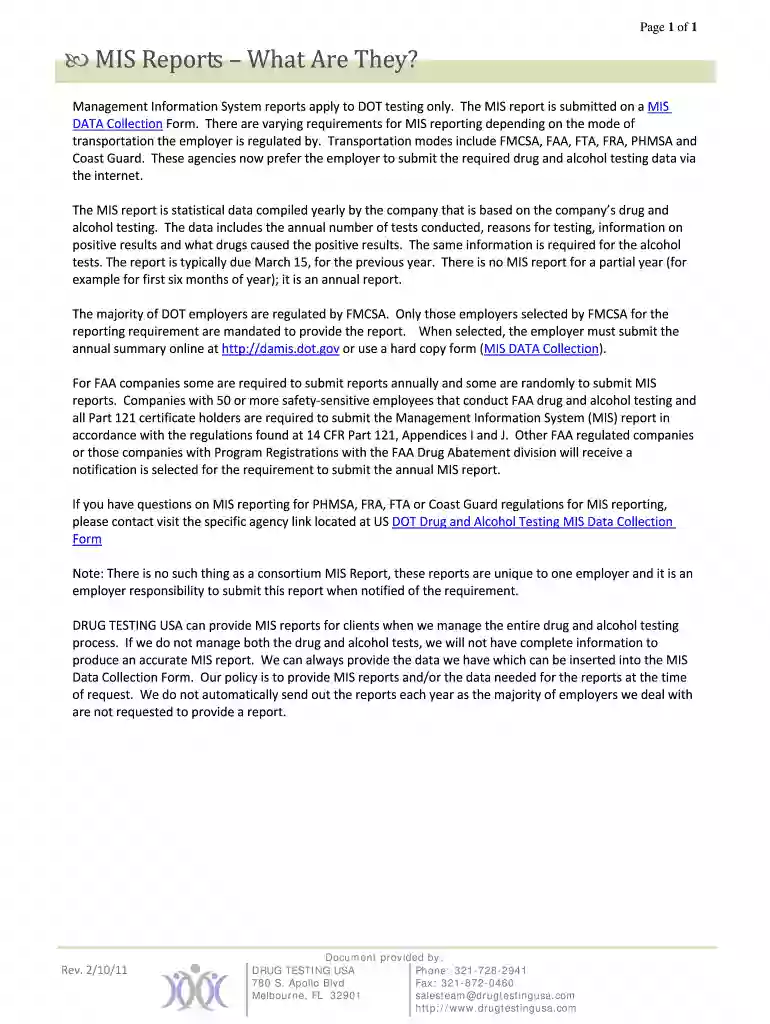 fillable mis report Preview on Page 1