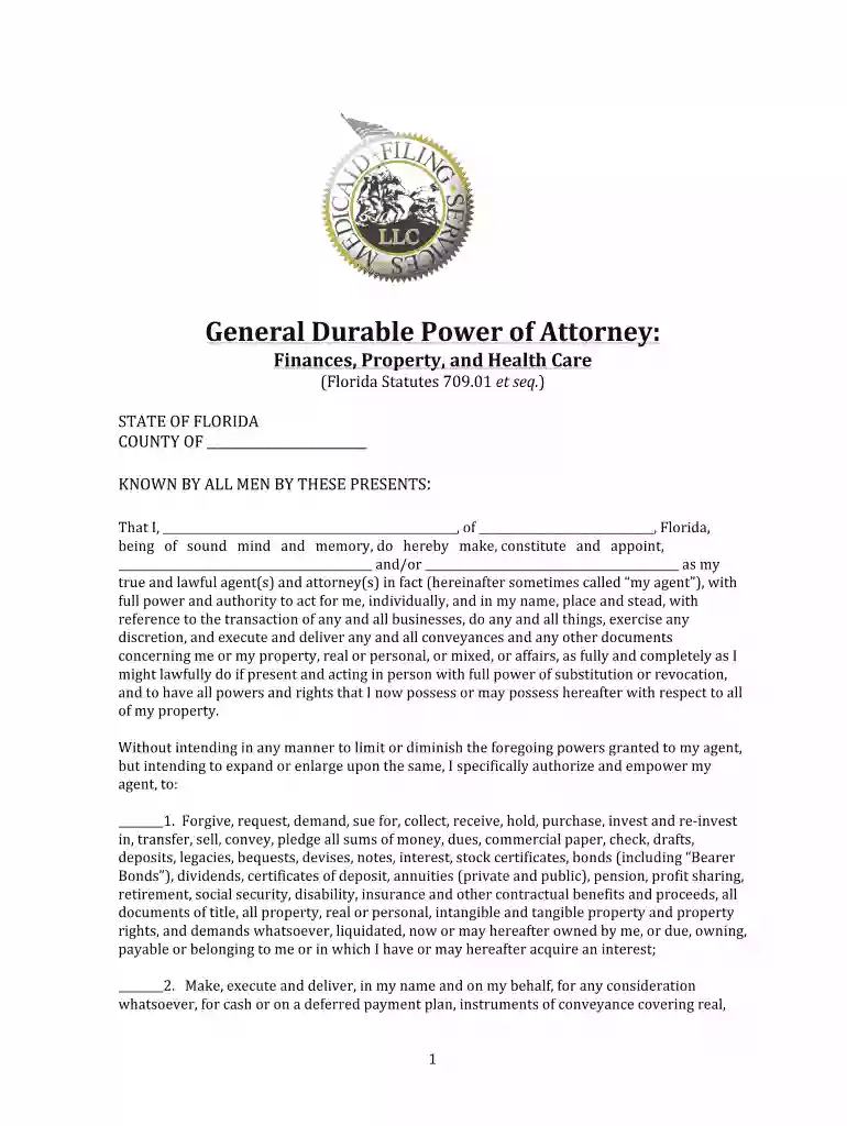 medicaid power of attorney form Preview on Page 1