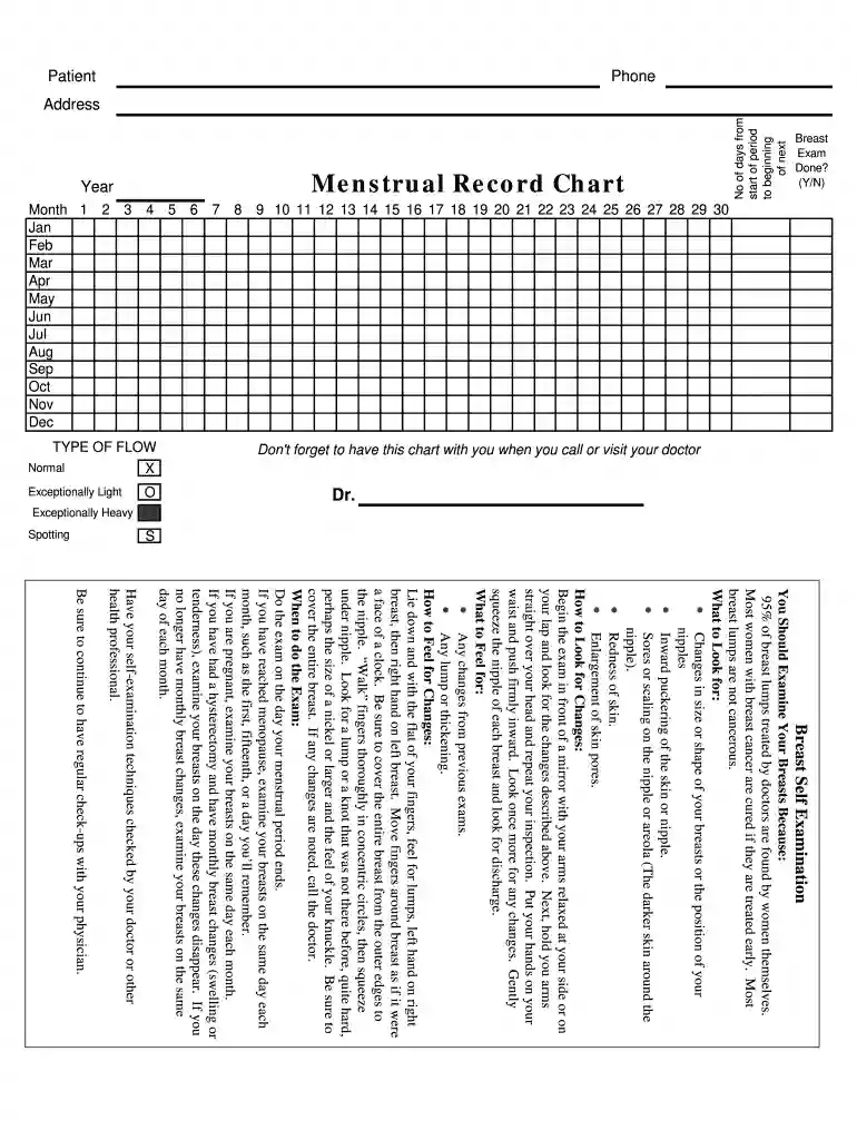 menstrual record chart Preview on Page 1