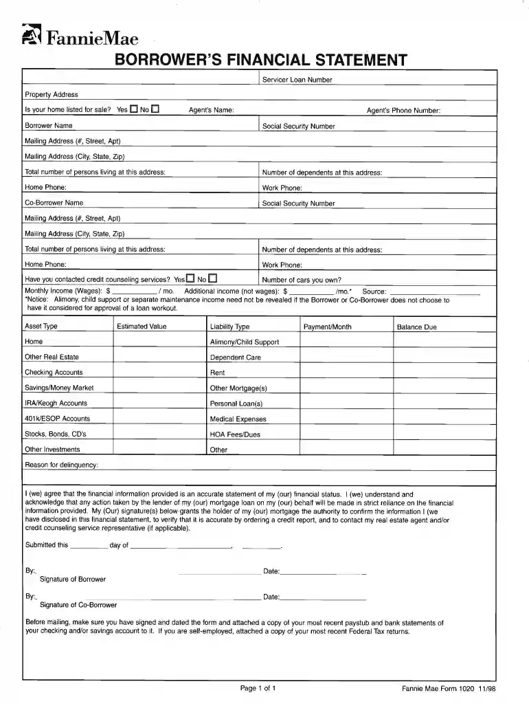 financial statement form 1020 1998 Preview on Page 1