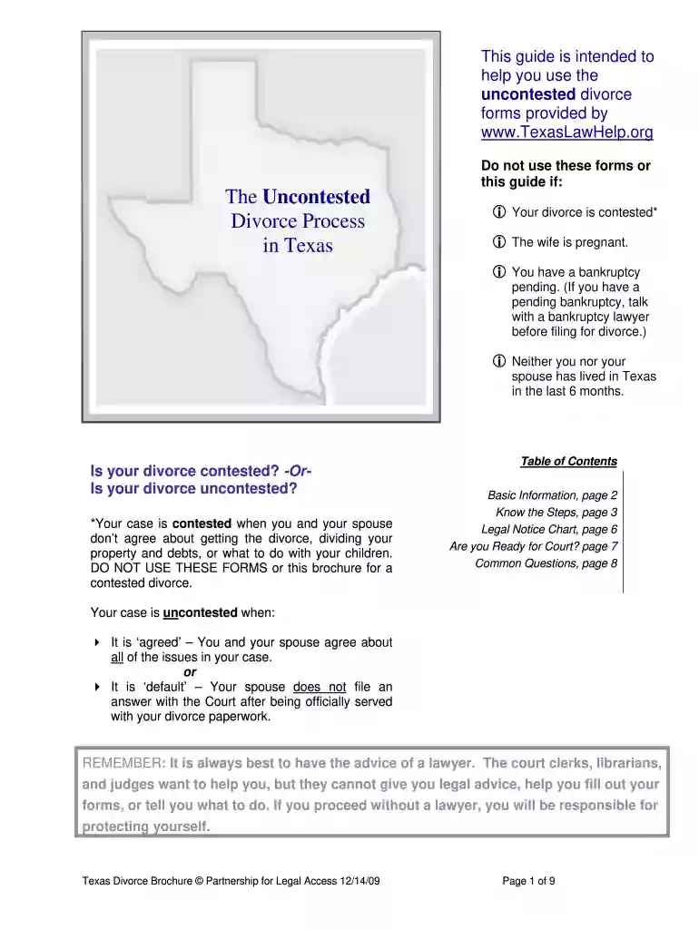 texas divorce forms Preview on Page 1