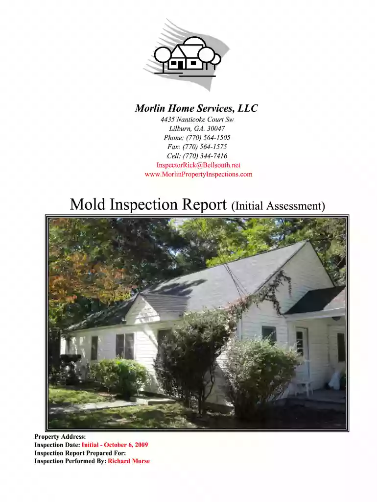 mold inspection report template Preview on Page 1