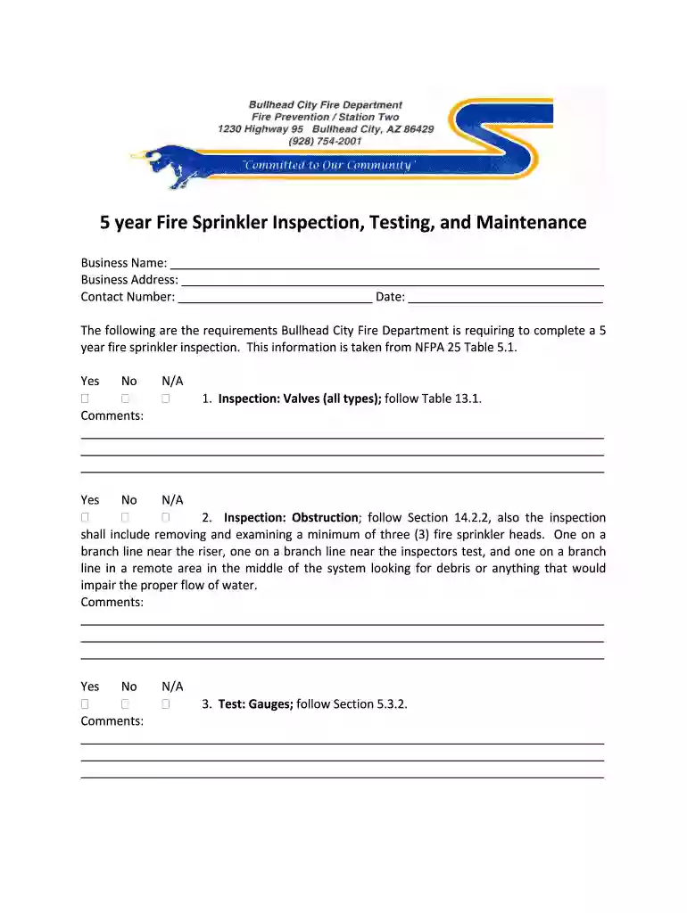 5 year internal sprinkler inspection report Preview on Page 1