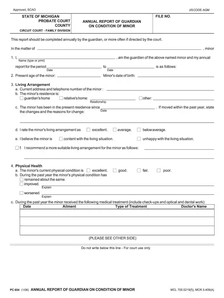 annual guardianship report michigan Preview on Page 1