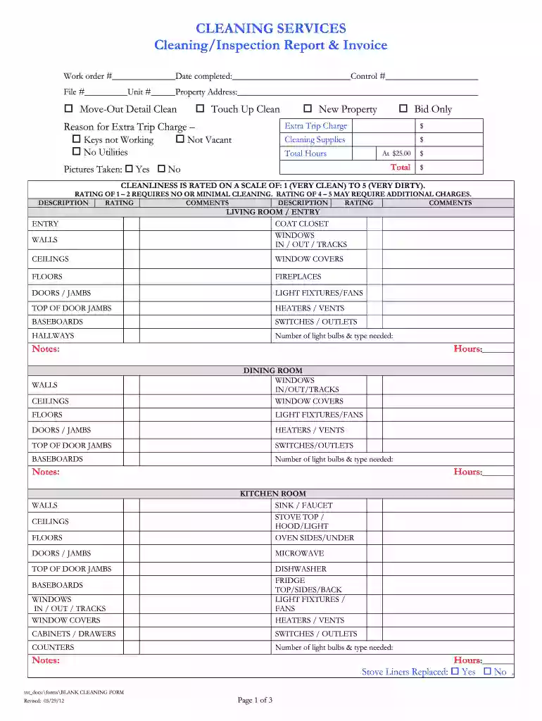 cleaning report Preview on Page 1