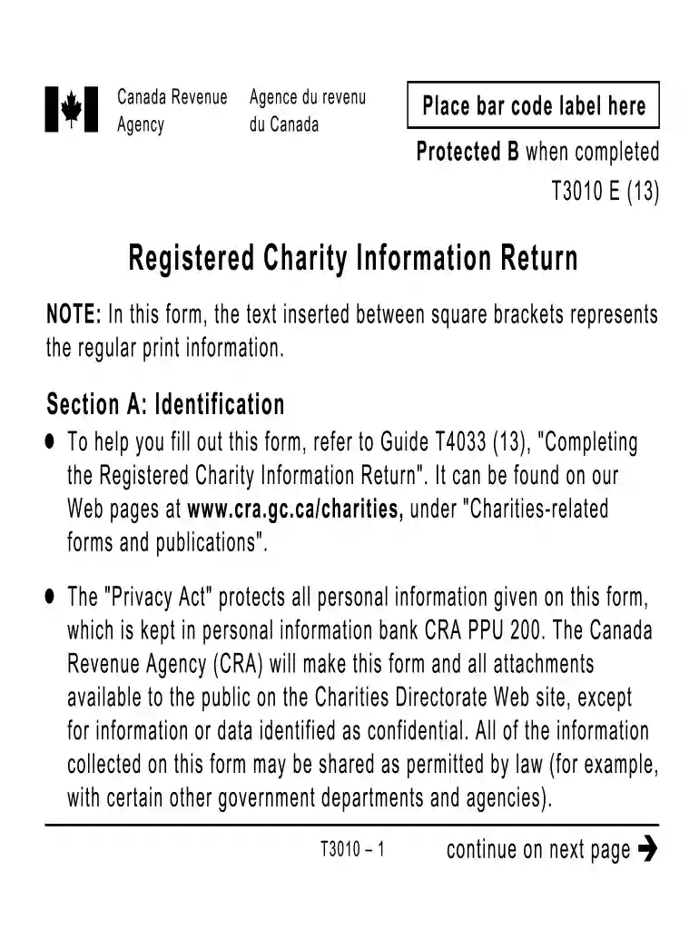 t3010 2013 form Preview on Page 1