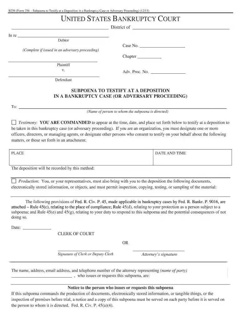 court subpoena order Preview on Page 1