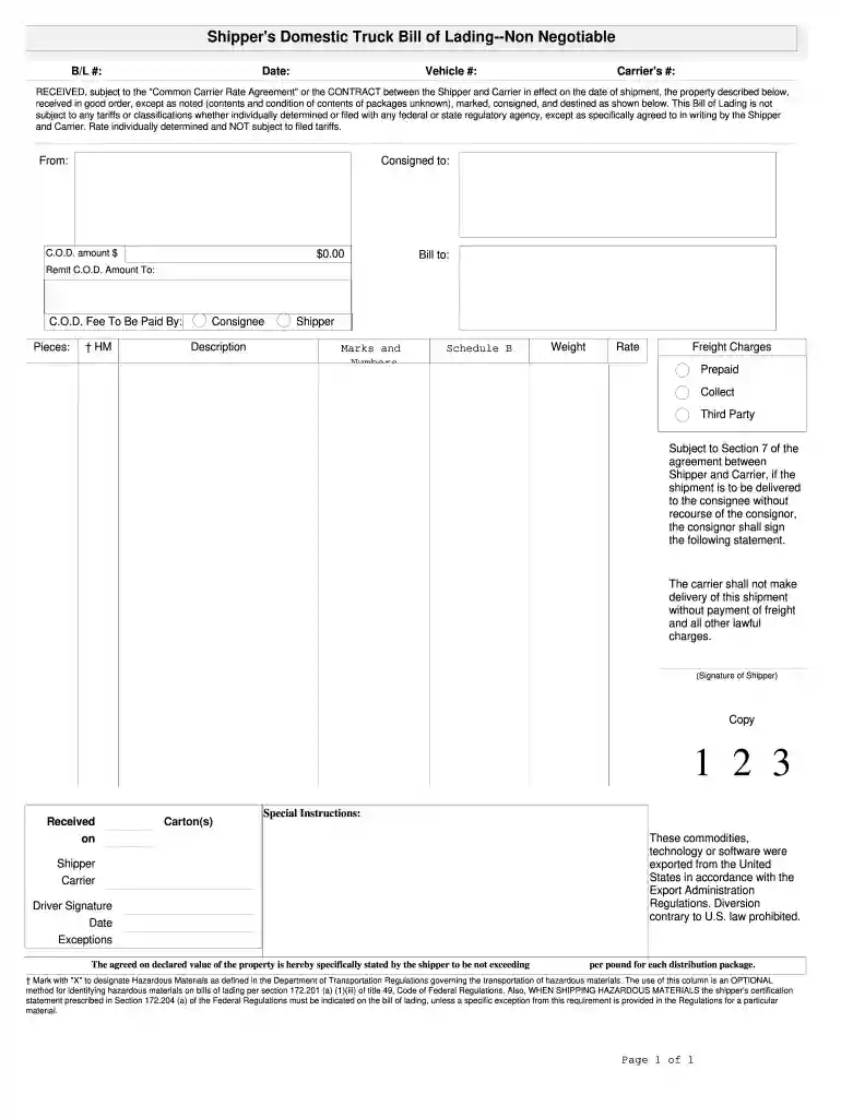 truck waybill format Preview on Page 1