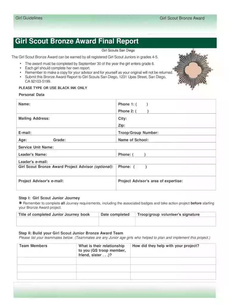 girl scout bronze award final report form Preview on Page 1