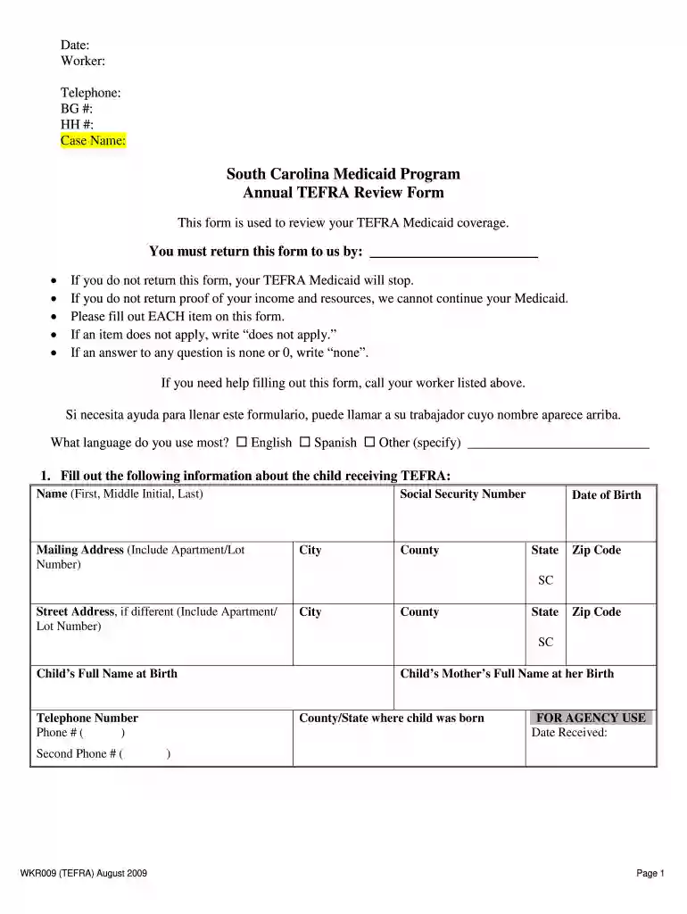tefra medicaid sc Preview on Page 1
