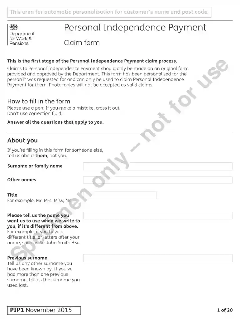 pip1 form Preview on Page 1
