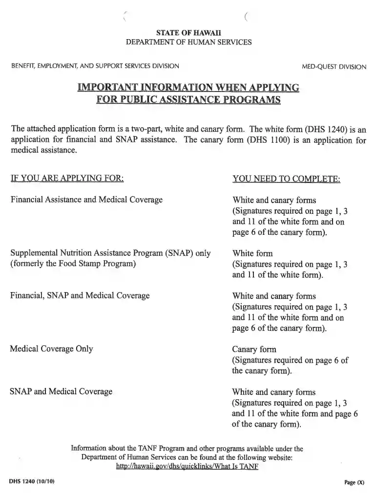 snap renewal application hawaii Preview on Page 1