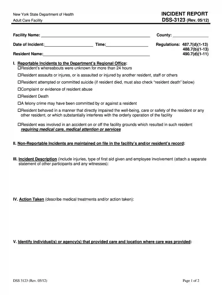 dss 3123 Preview on Page 1