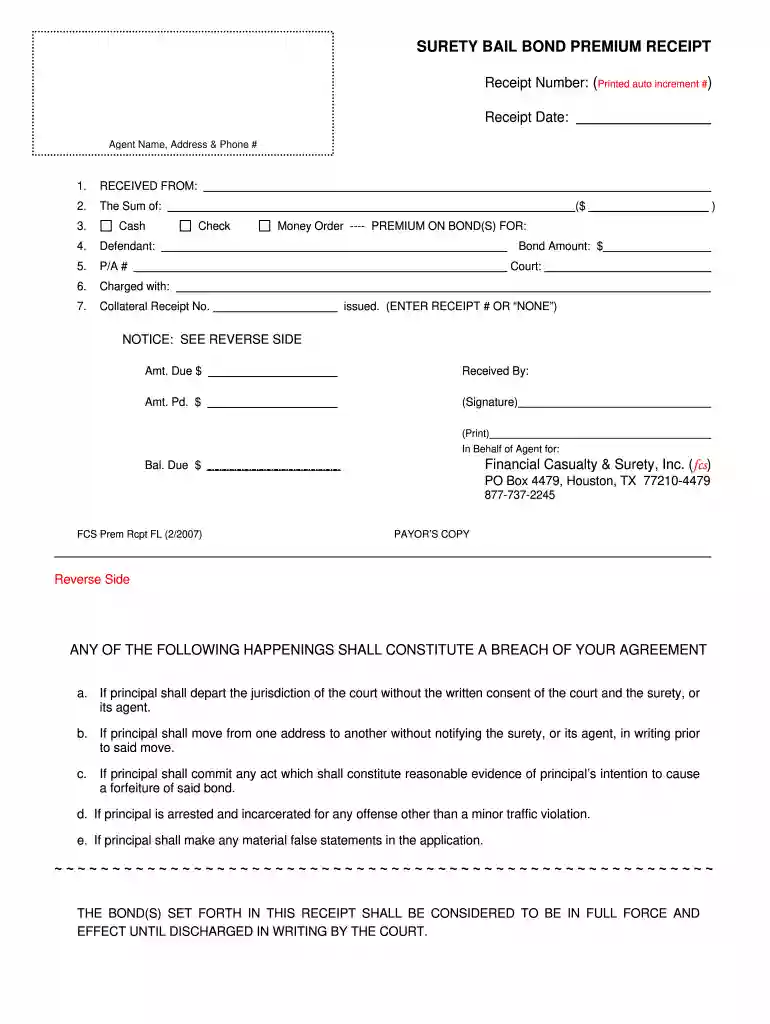 bail bond receipt template Preview on Page 1