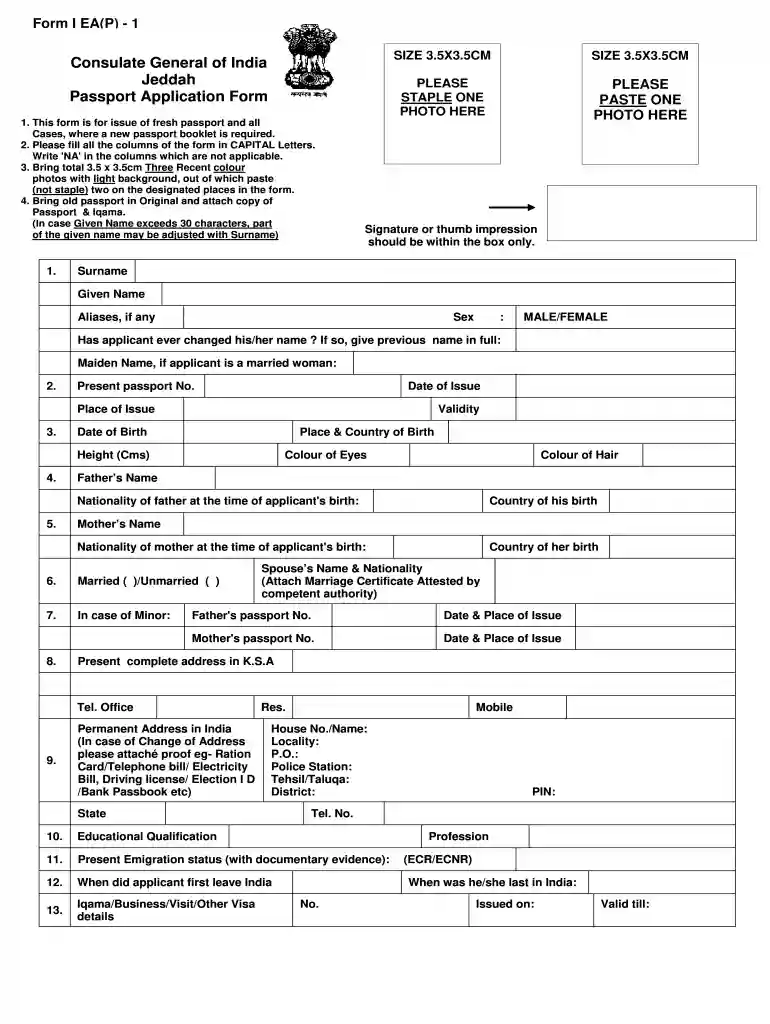 how to fill passport form online with example Preview on Page 1