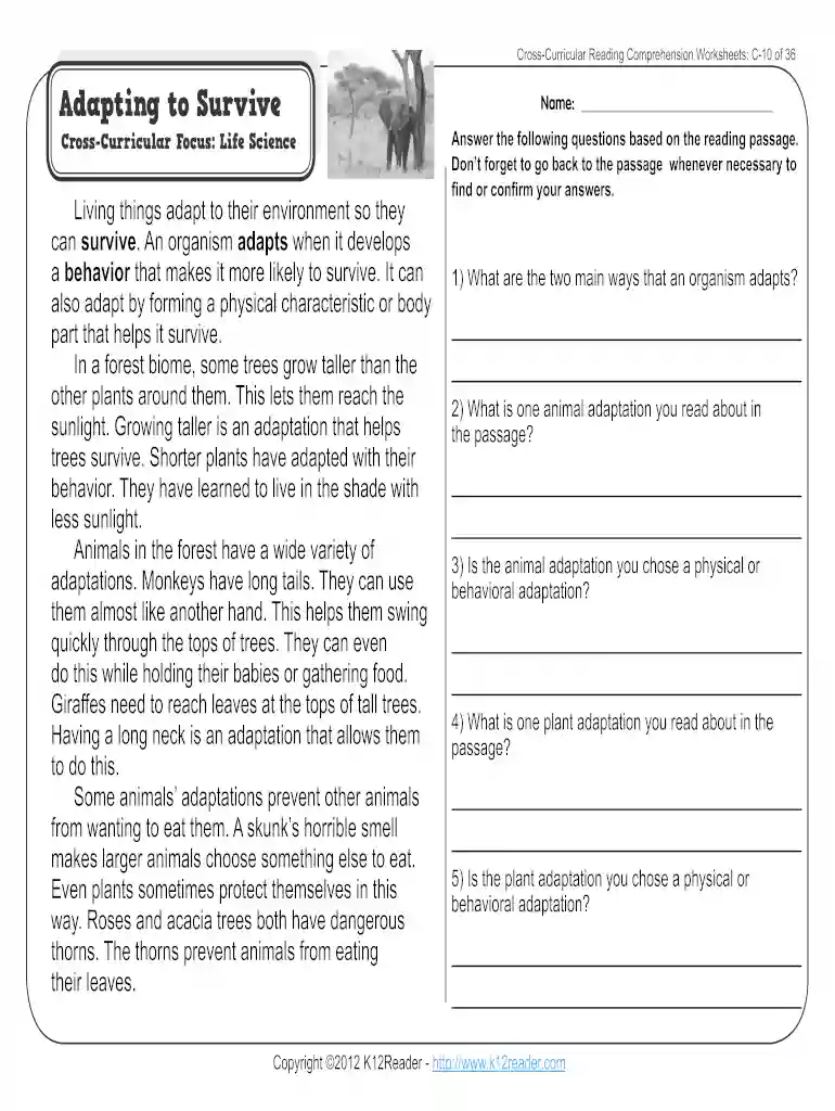 adaptations worksheet pdf Preview on Page 1
