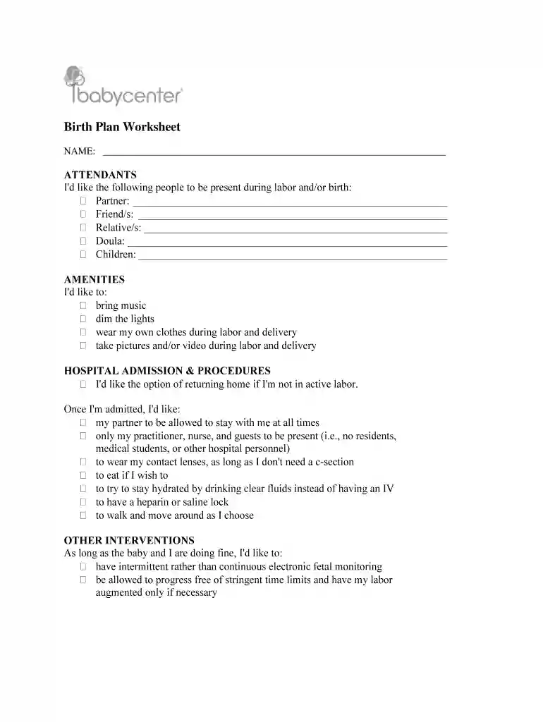 birth plan template Preview on Page 1