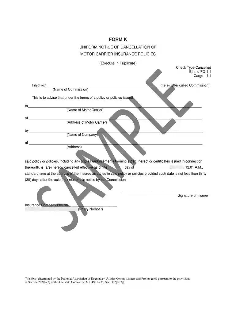 form 91x Preview on Page 1