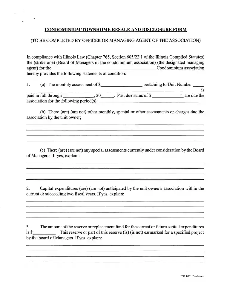 22 1 disclosure form illinois pdf Preview on Page 1