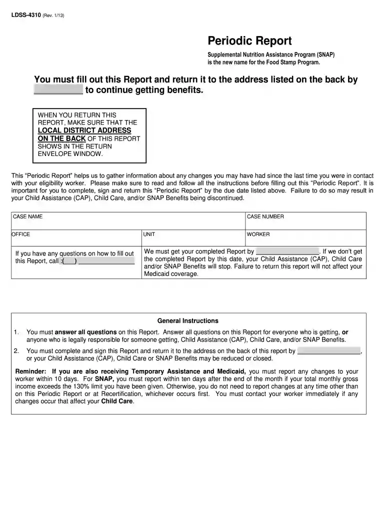 snap periodic report Preview on Page 1