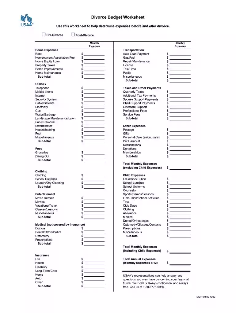 divorce worksheet Preview on Page 1
