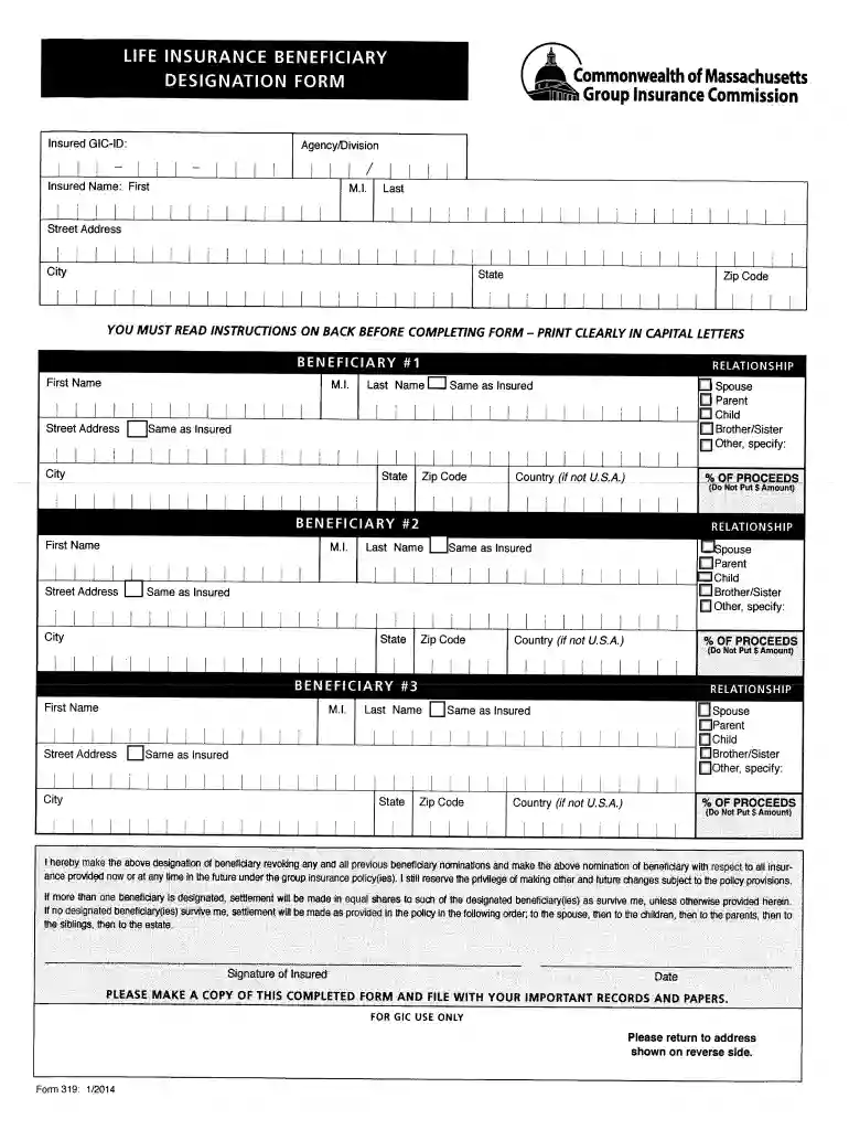 form 319 Preview on Page 1